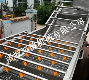 人参清洗机