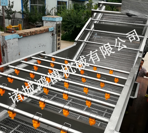 人参清洗机