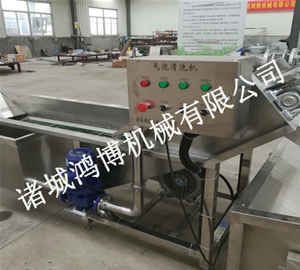 西红柿气泡清洗机